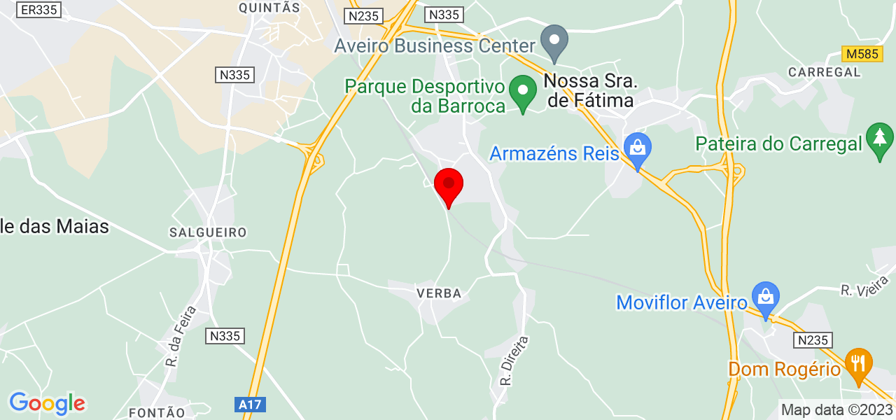 Car&oacute;l S&aacute; Marta - Aveiro - Aveiro - Mapa