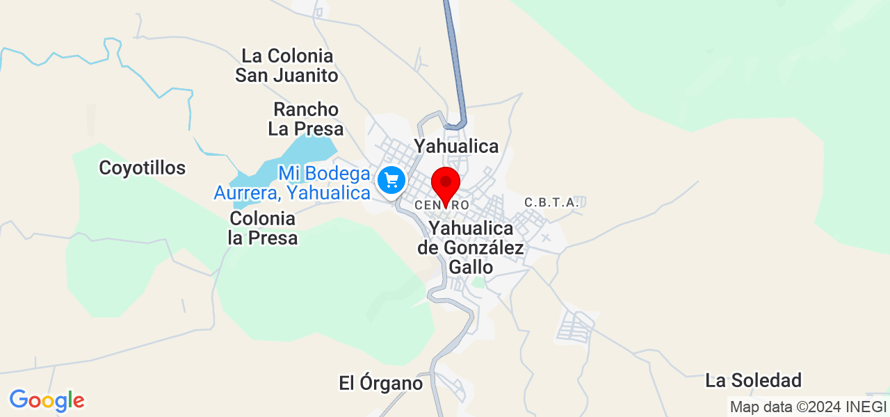 Cuidador de perros - Jalisco - Yahualica de González Gallo - Map