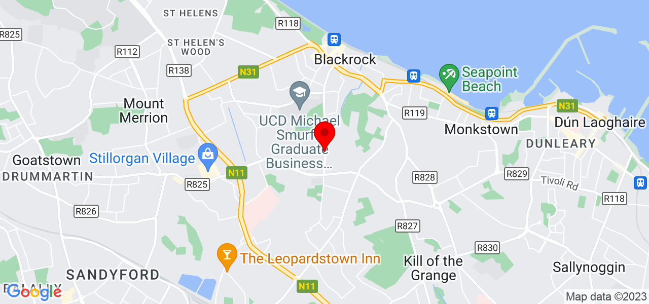 Aleksandr Lebedev - Leinster - Dublin - Map