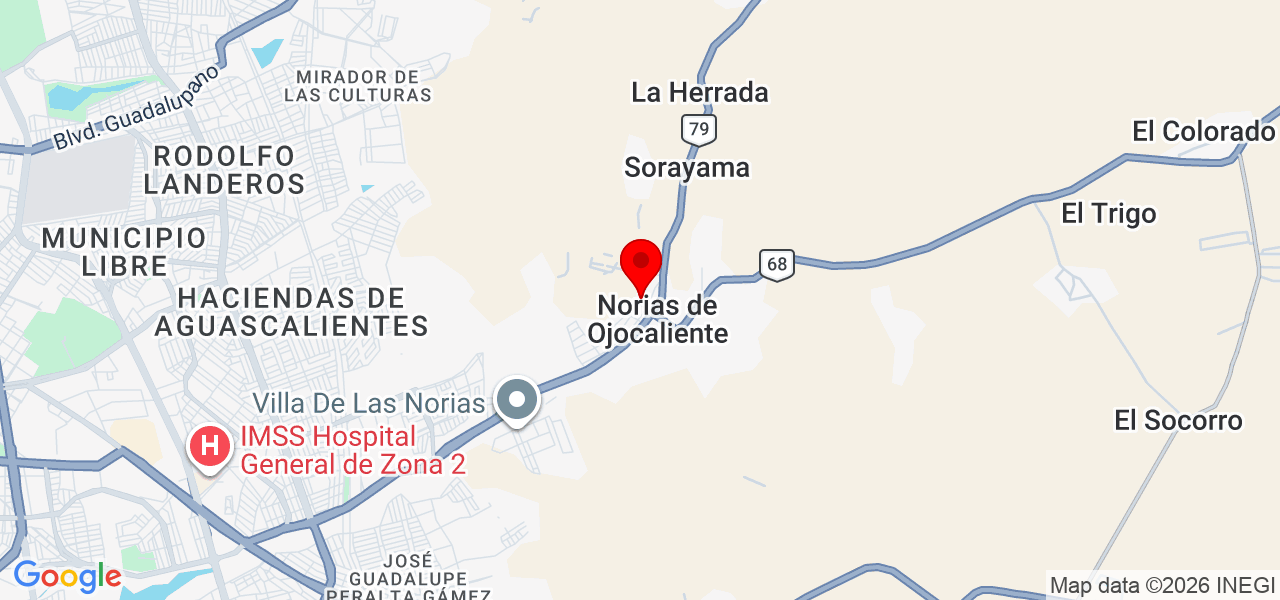 David - Aguascalientes - Aguascalientes - Mapa