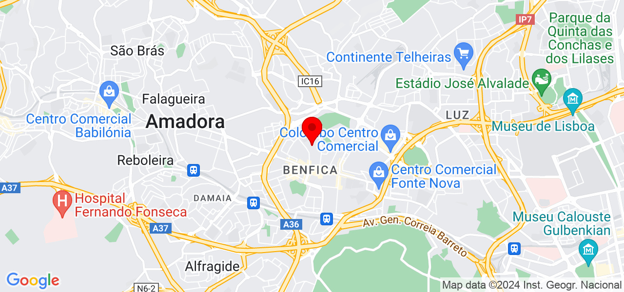 Magn&oacute;lia cabeleireira - Lisboa - Lisboa - Mapa