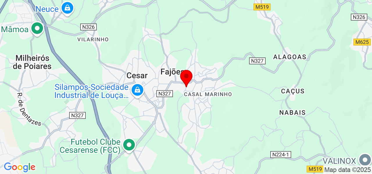 Olga Amaral - Aveiro - Oliveira de Azeméis - Map