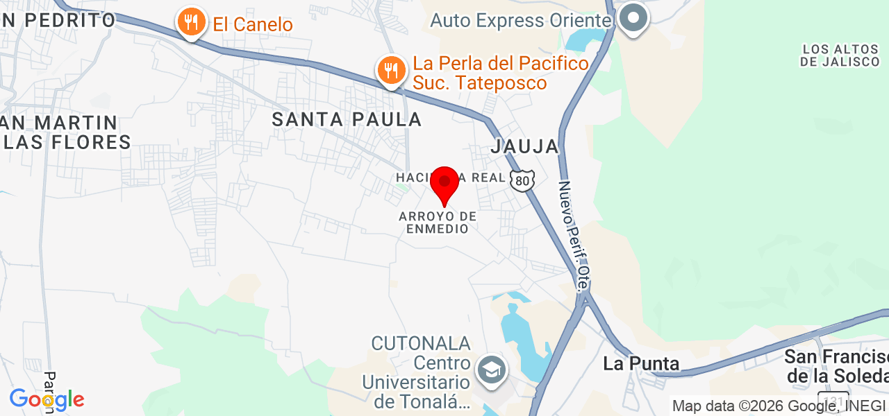 SERVICIO ELECTRONICO - Jalisco - Tonalá - Mapa