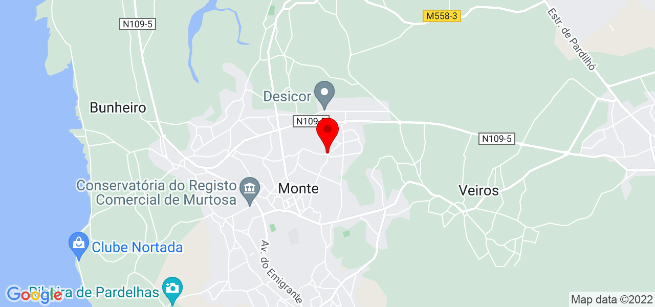 Ricardo - Aveiro - Murtosa - Map