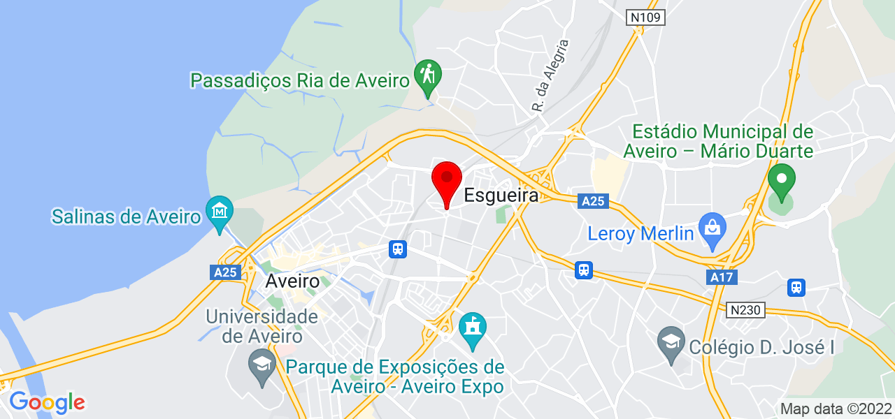 Thayn&aacute; Silveira - Aveiro - Aveiro - Mapa