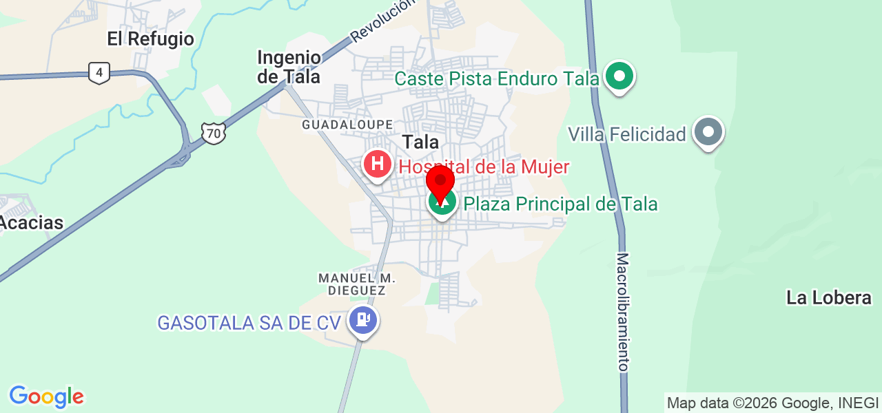 construction jalisco pros mex - Jalisco - Tala - Map