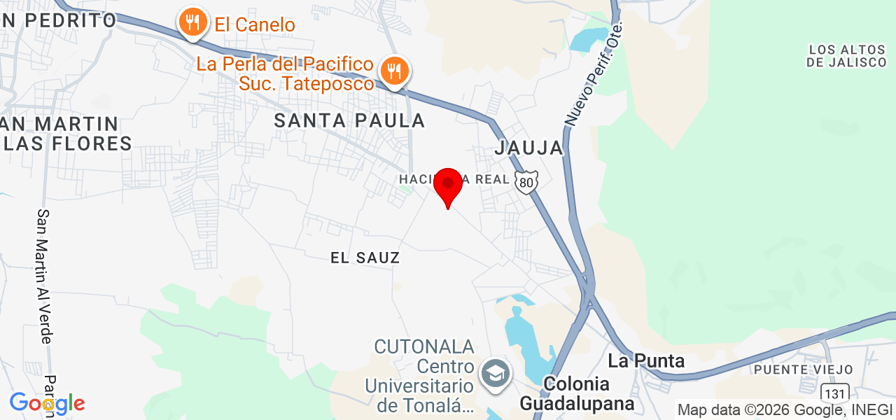 SERVICIO ELECTRONICO - Jalisco - Tonalá - Mapa