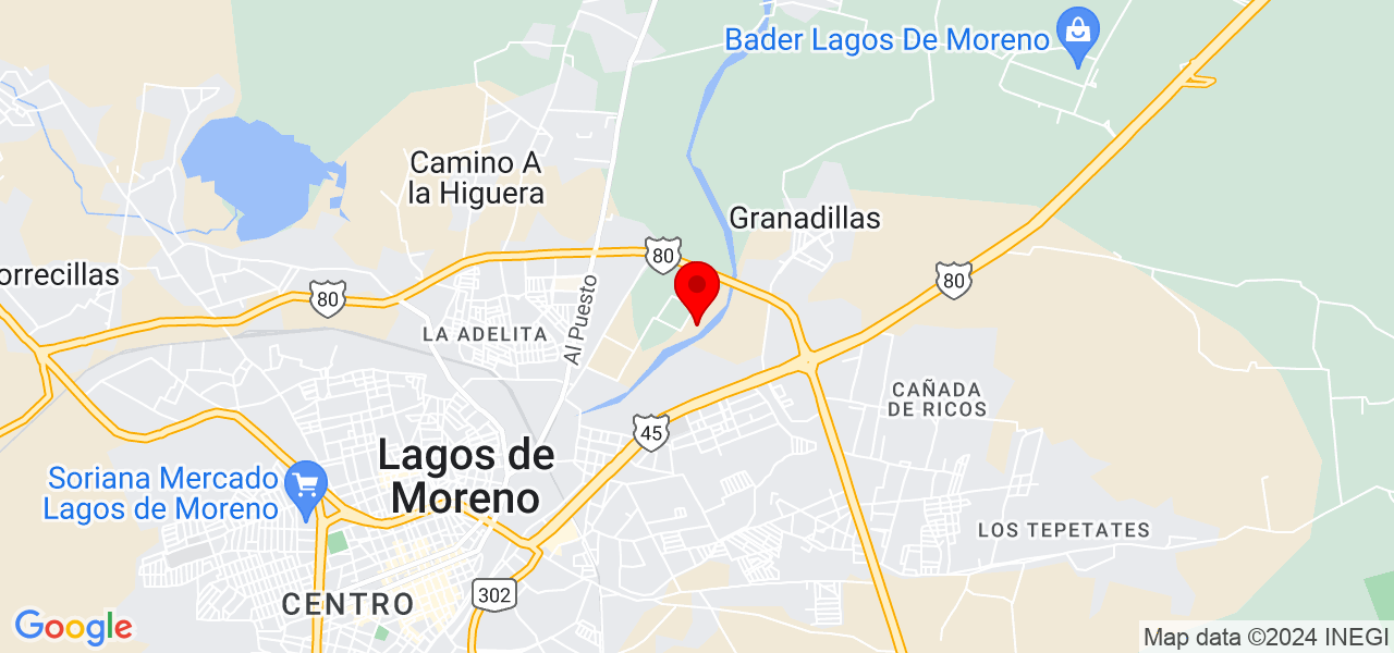 Sandra amador juarez - Jalisco - Lagos de Moreno - Mapa