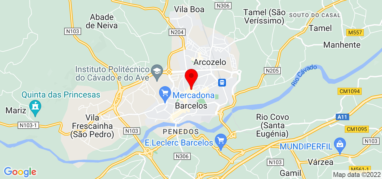 Academia das Ci&ecirc;ncias - Braga - Barcelos - Mapa