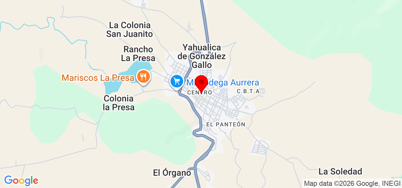 Cuidador de perros - Jalisco - Yahualica de González Gallo - Map