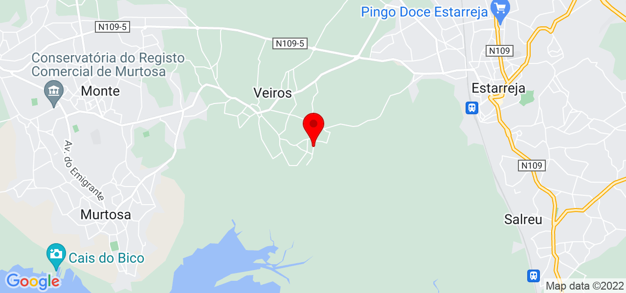 Daniela - Aveiro - Estarreja - Mapa