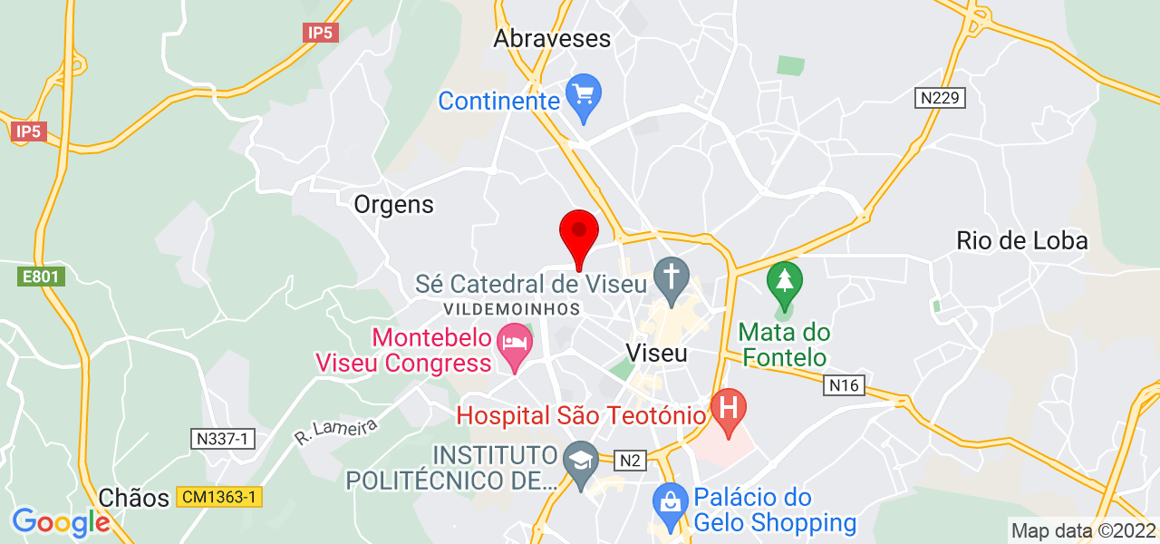 Nelma Patrícia - Viseu - Viseu - Carte