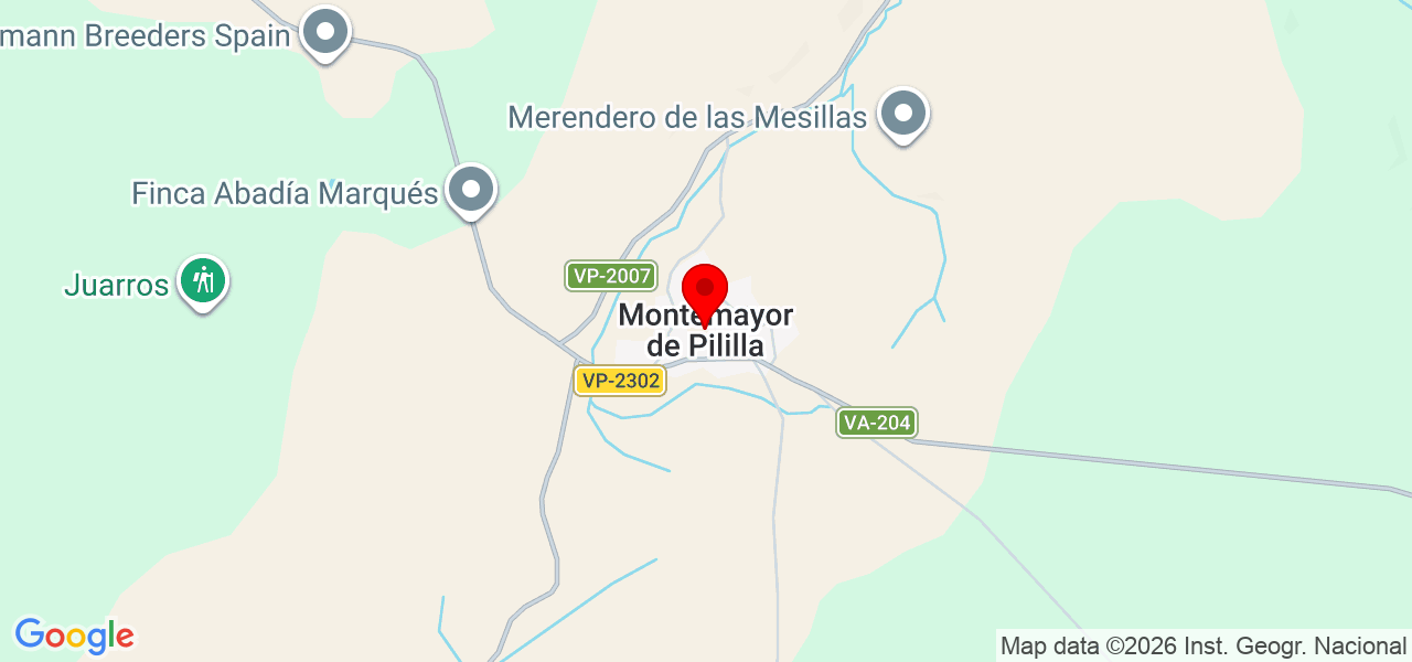 soporte y servicios - Castilla y León - Montemayor de Pililla - Mapa