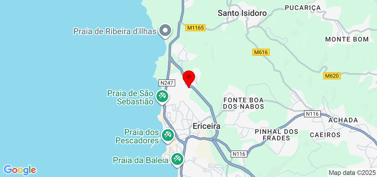 ProAction - Porto - Baião - Carte