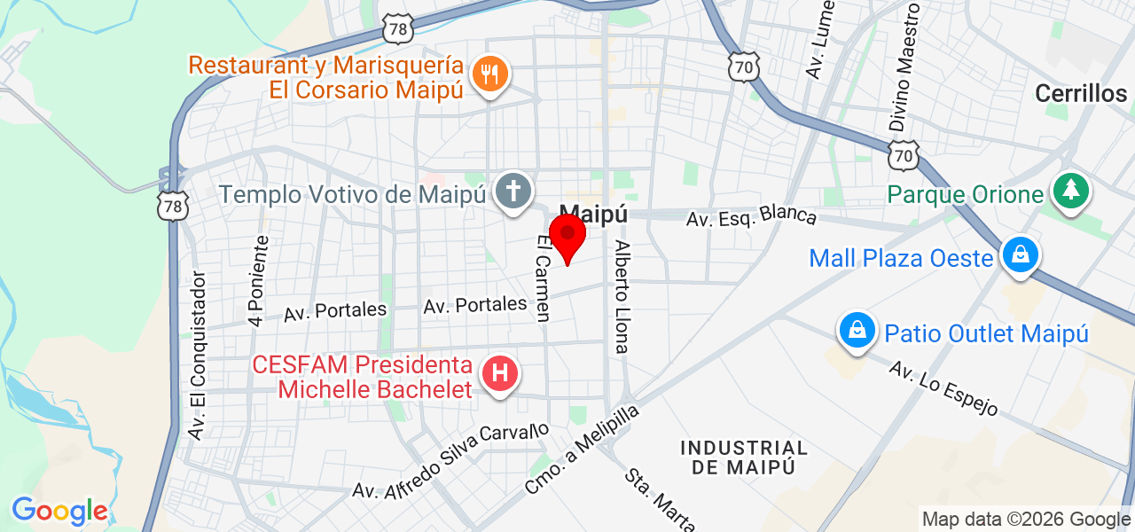 ¡Cuidadora de gatos a domicilio cariñosa y responsable! - Región Metropolitana de Santiago - Santiago - Mapa