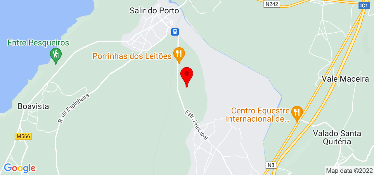 Eletroserviços - Eletricista certificado - Leiria - Caldas da Rainha - Map
