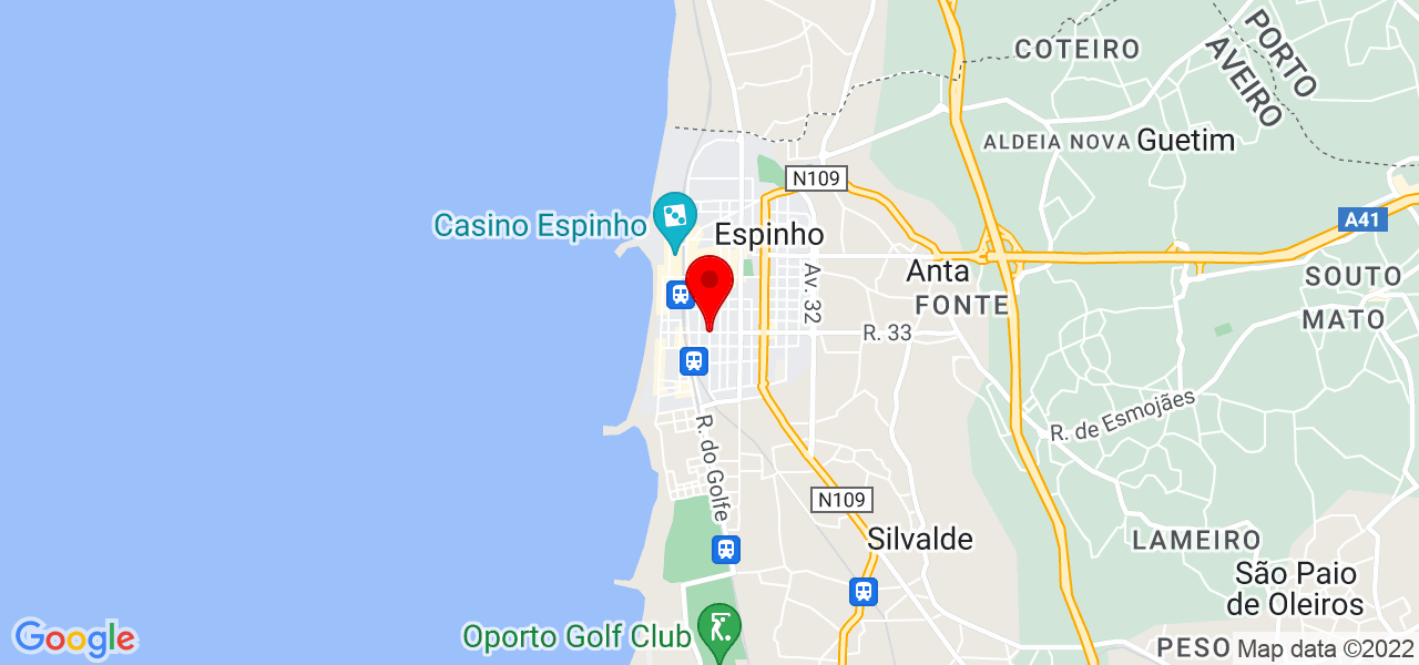 Luís Vaz - Aveiro - Espinho - Mapa