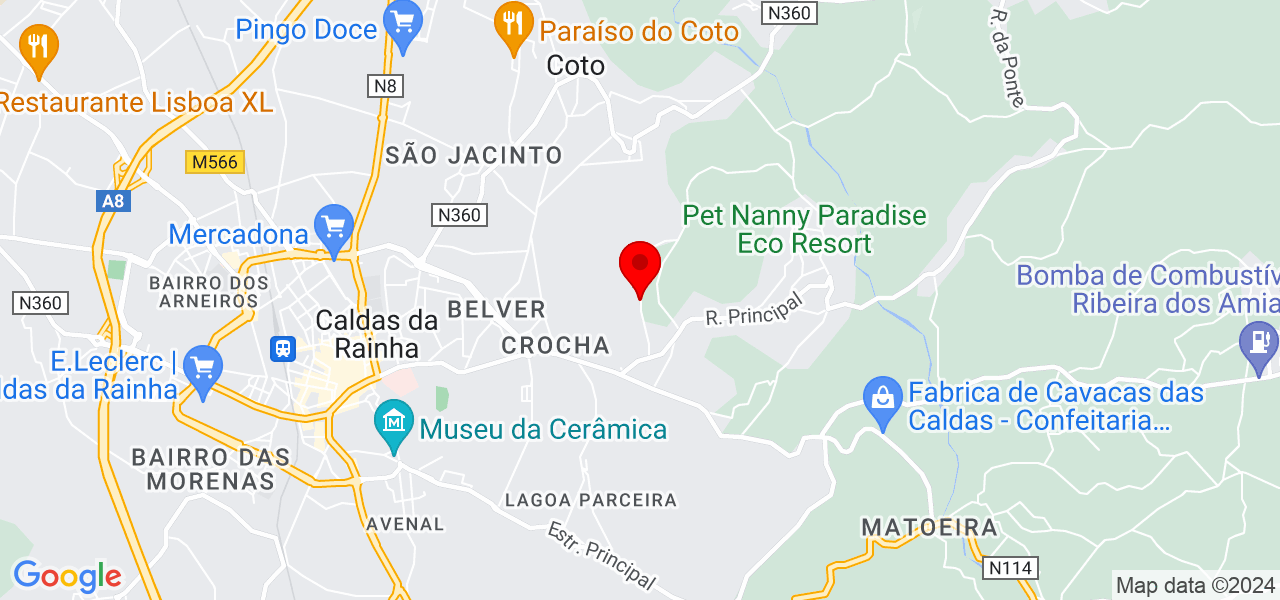 Diogo Fernandes - Leiria - Caldas da Rainha - Mapa