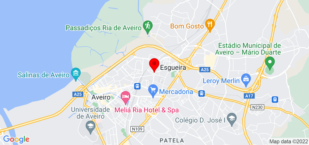 Louren&ccedil;oDogWalker - Aveiro - Aveiro - Mapa
