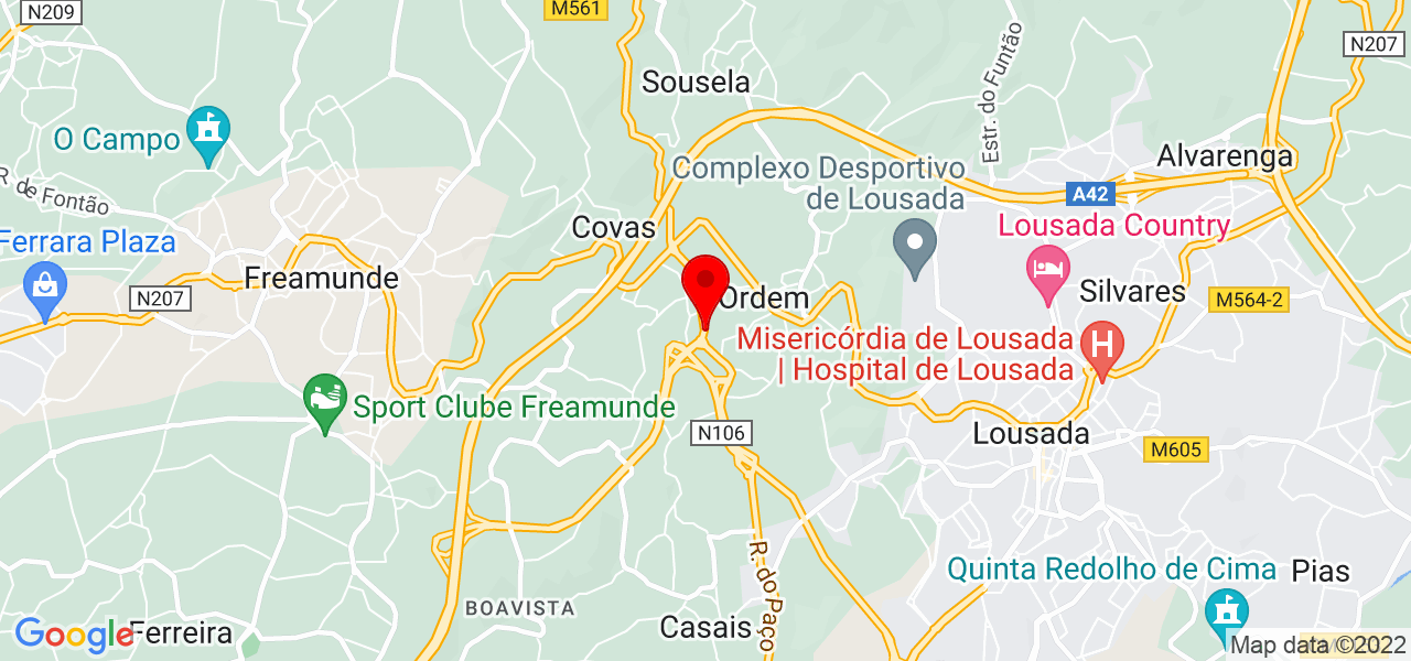 Enfermeira Veterinária Mariana - Porto - Lousada - Mapa