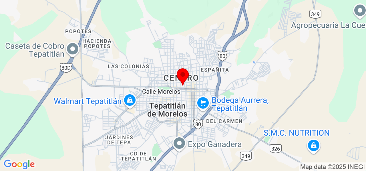 MAJEX Tratamientos - Jalisco - Tepatitlán de Morelos - Mapa