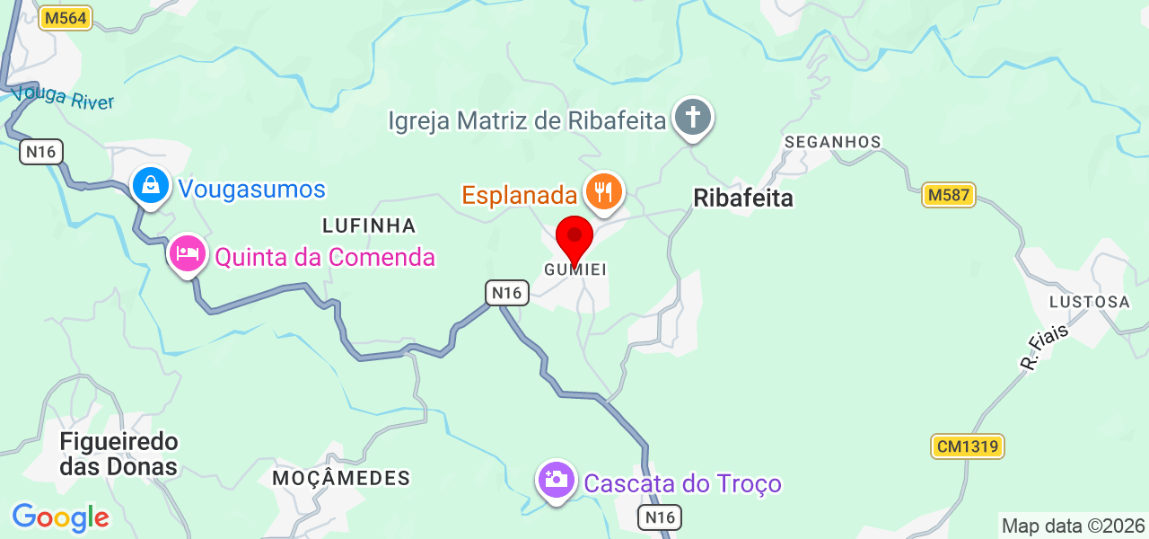 The Canine Behaviourist - Viseu - Viseu - Carte