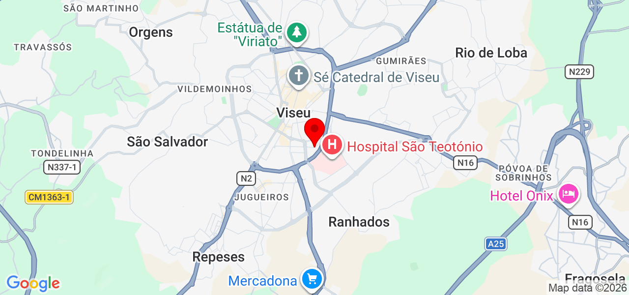 VL&RB - Viseu - Viseu - Mapa