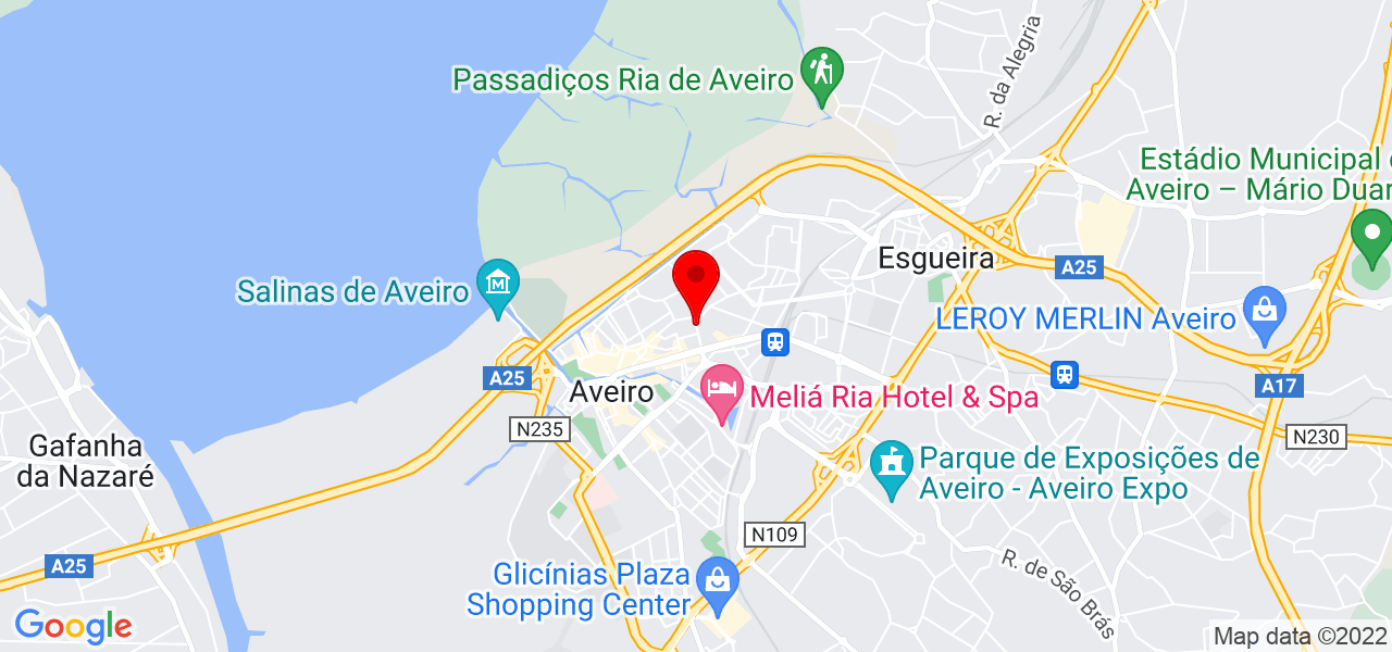 Ana Gon&ccedil;alves - Aveiro - Aveiro - Mapa