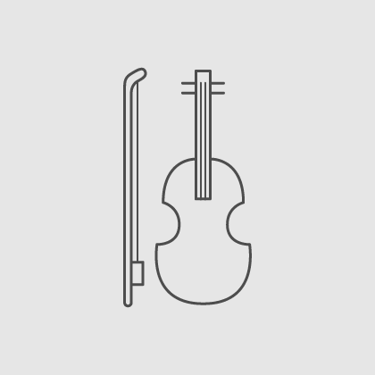 Geige - Musik für die Trauungszeremonie