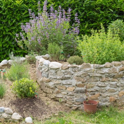 herb garden - Sprinkler System Repair and Maintenance