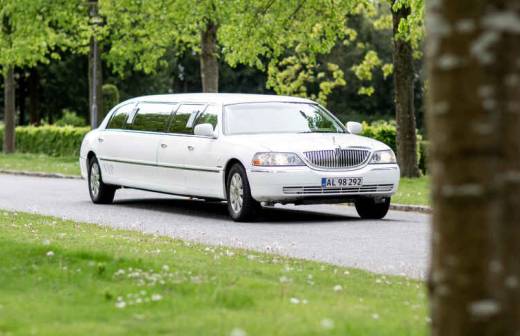 Bus and Car Rental