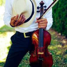 Geige und Bratscheunterricht - Fixando Österreich