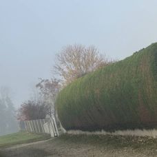 Gärtner handwerker - Umzug - Linz