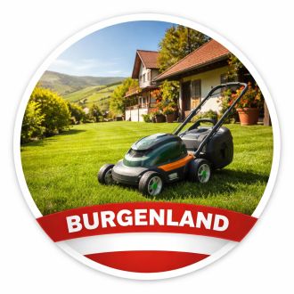 Ivan Baloh - Fixando Österreich