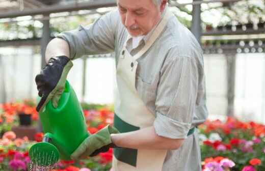 Gartenbewässerung und -pflege - Übersähen