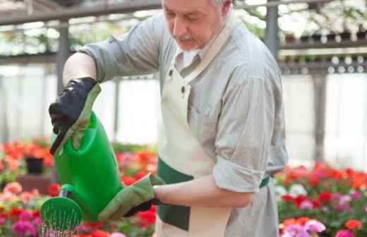 Gartenbewässerung und -pflege - Stümpfe