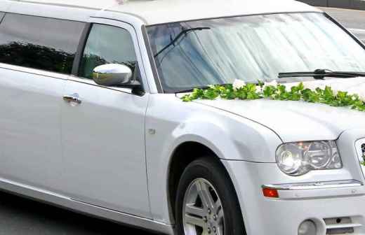 Wedding Limousine Rental - Buses