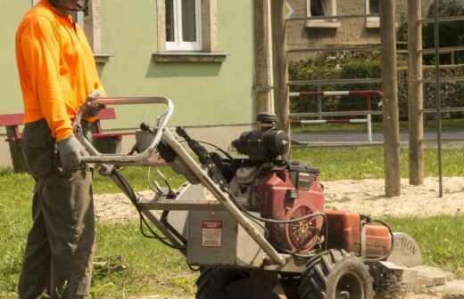 Baumstumpf oder -wurzel wegfräsen und entfernen - Gartenschere