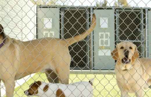 Tierpension - Tiere