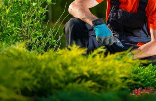 Gartenarbeit - Rasenpflege