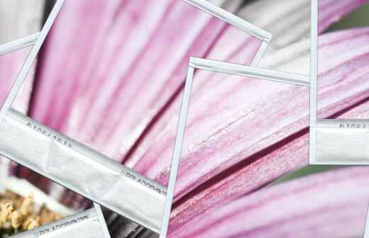 Fotorestaurierung - zwettl