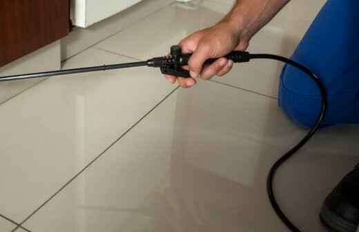 Pest Control Services - newcastle