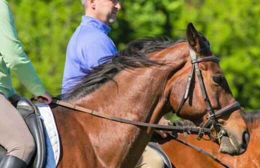 Horseback Riding Lessons (for adults) - newcastle