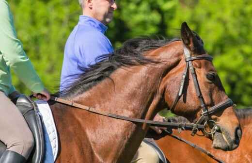 Horseback Riding Lessons (for adults) - Etheridge