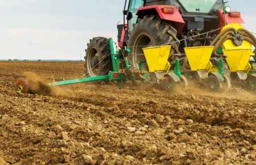 Seeding - Slaughter Pine