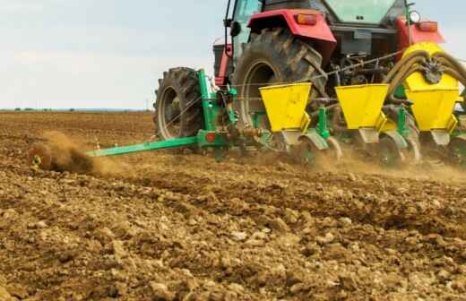 Seeding - Coober Pedy