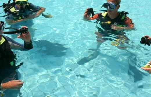 Scuba Diving Lessons - newcastle