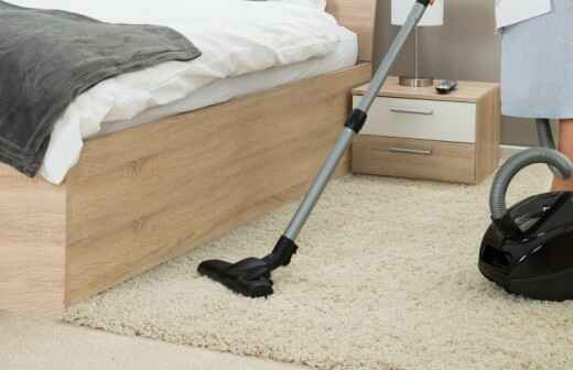 Rug Cleaning - Odors