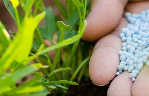 Fertilizing - Yarrabah