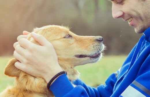 Pet Sitting - Bite